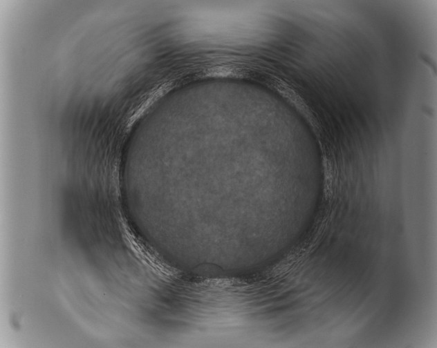 X0000100330482200806261306