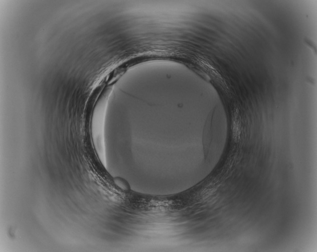 X0000100330484200806261306