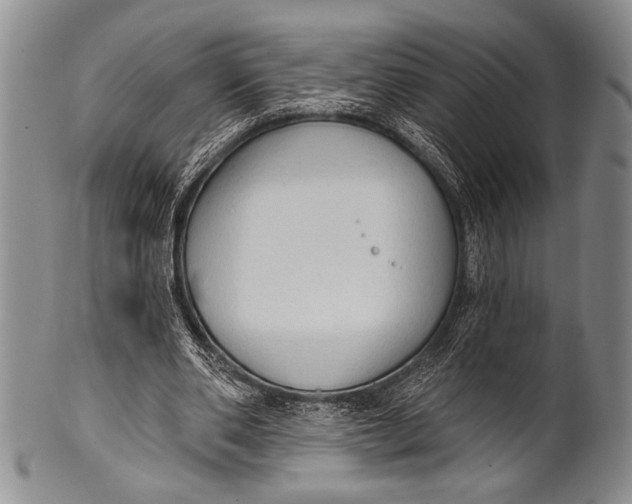 X0000100330486200806261306