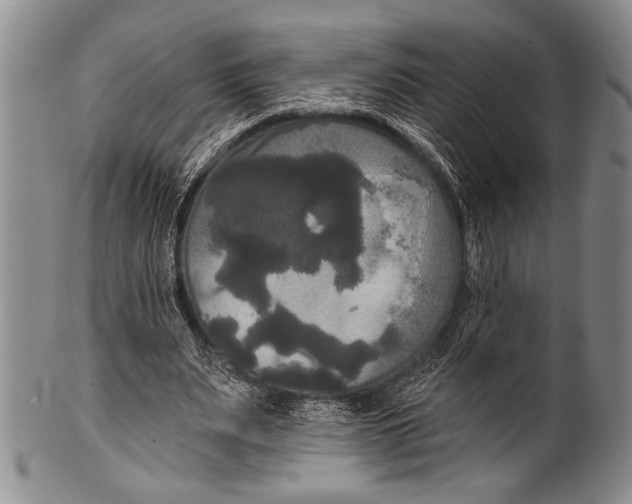 X0000100330487200806261306