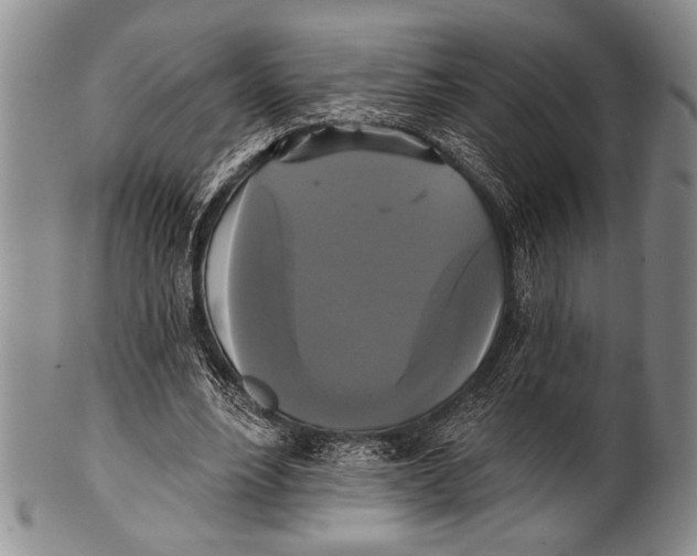 X0000100330488200806261306