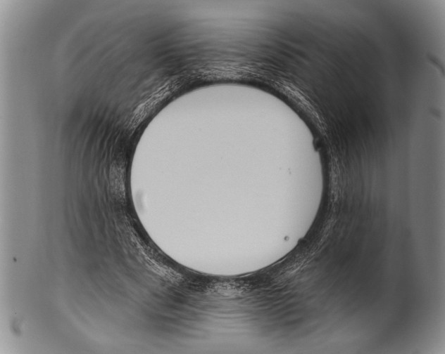 X0000100330489200806261306