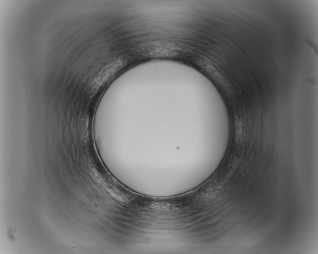 X0000100330490200806261306