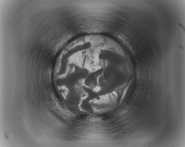 X0000100330491200806261306