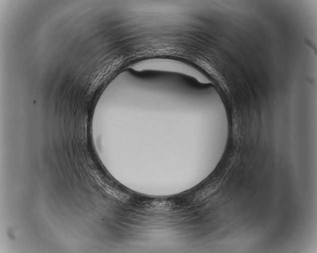 X0000100330493200806261306