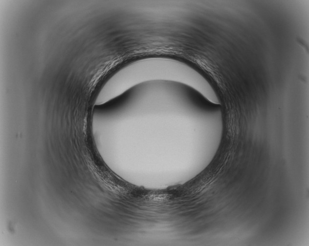 X0000100330495200806261305