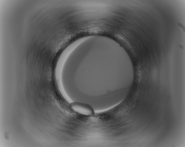 X0000100330496200806261305