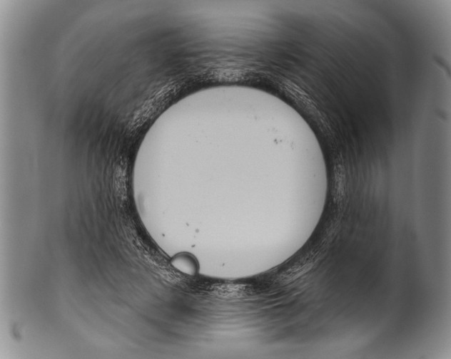 X0000100330497200806261305