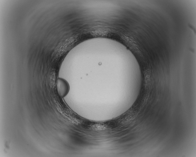 X0000100330498200806261305