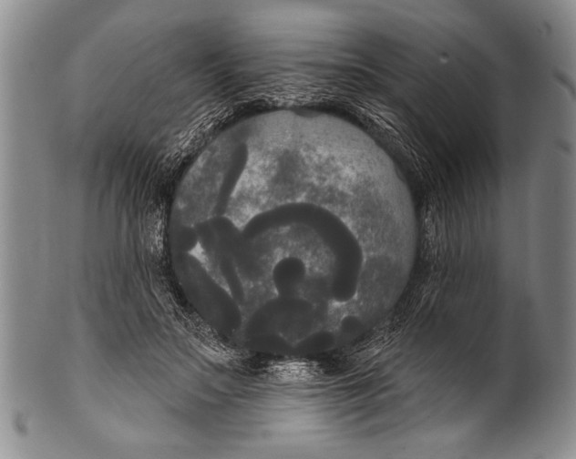 X0000100330499200806261305