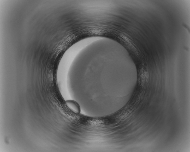 X0000100330500200806261305