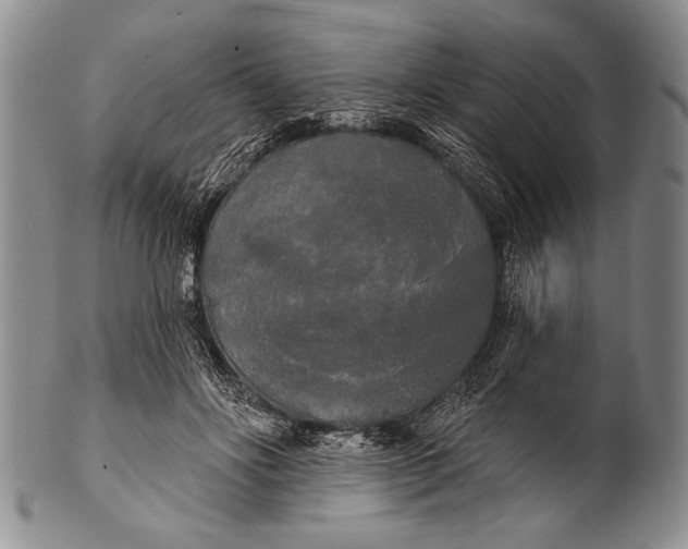 X0000100330502200806261305