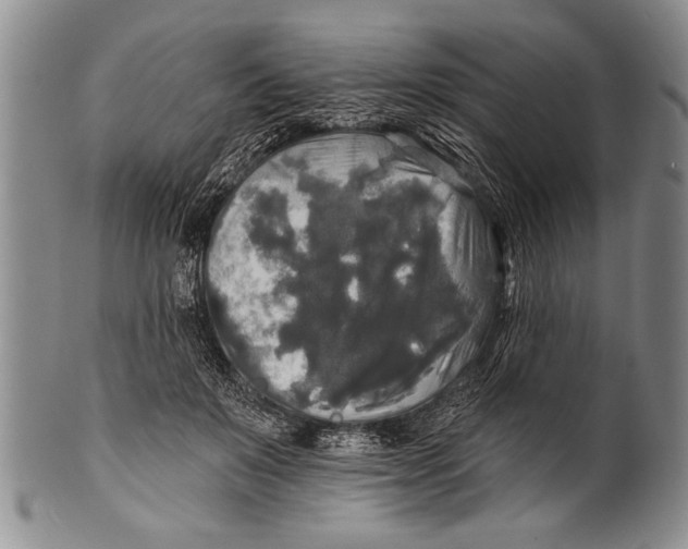 X0000100330503200806261305