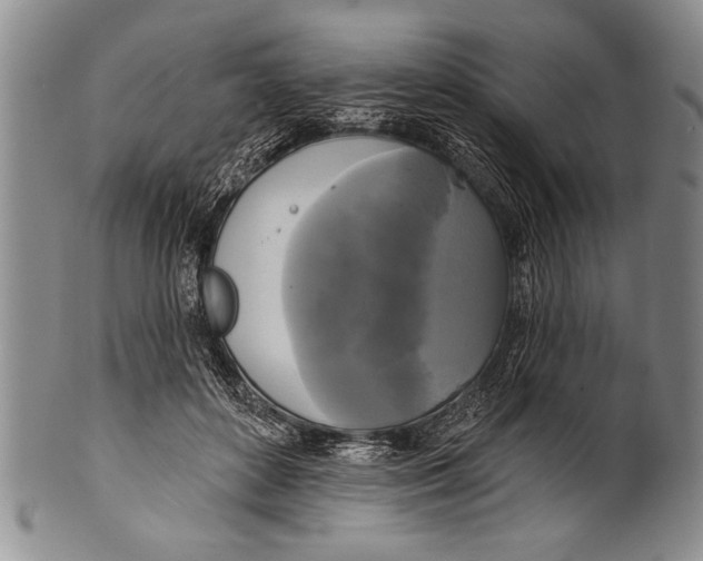 X0000100330504200806261305