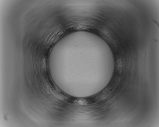 X0000100330506200806261305