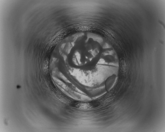 X0000100330507200806261305