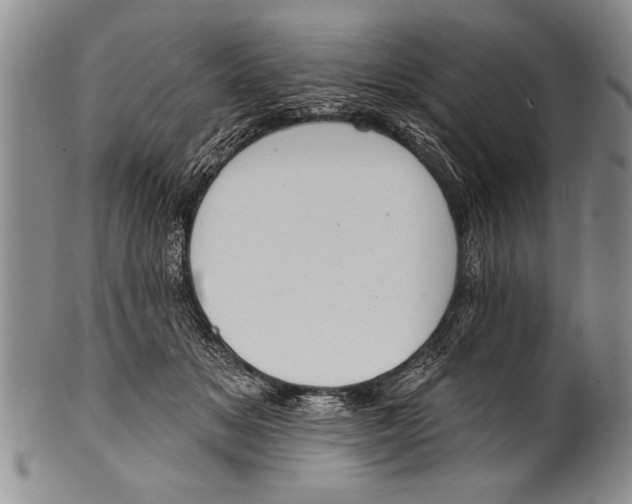 X0000100330509200806261305