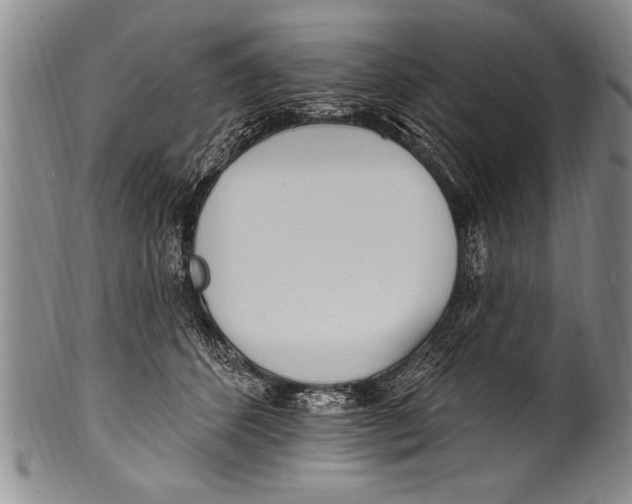 X0000100330512200806261305