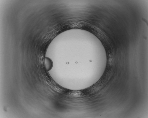 X0000100330514200806261305