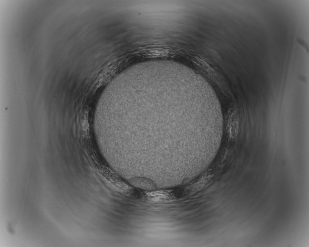 X0000100330516200806261305