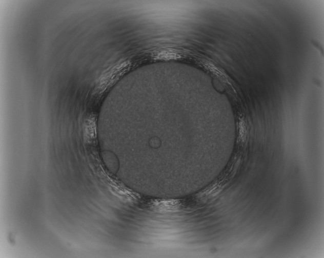 X0000100330517200806261305