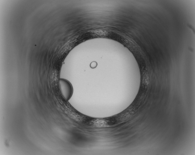 X0000100330518200806261305