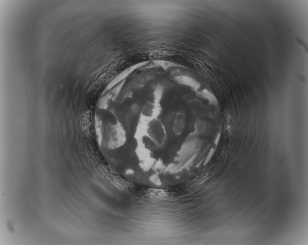 X0000100330519200806261305