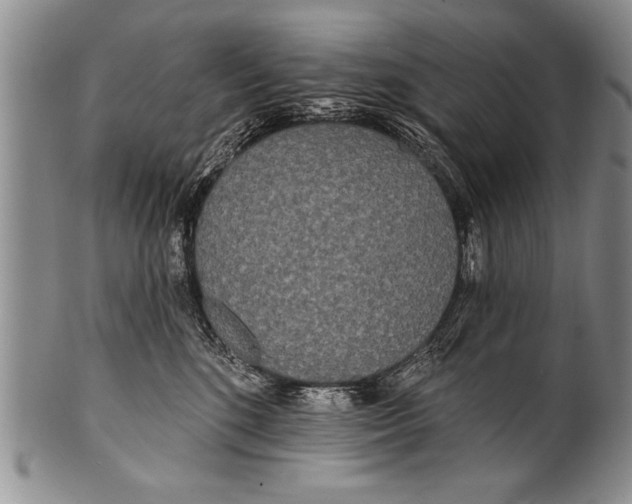 X0000100330520200806261305