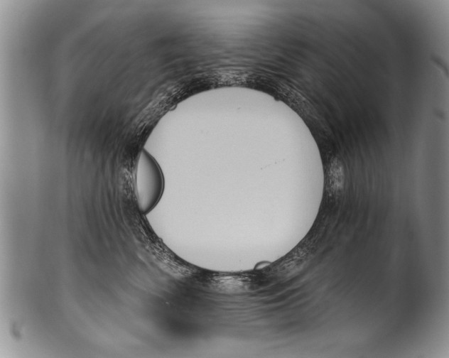 X0000100330522200806261305