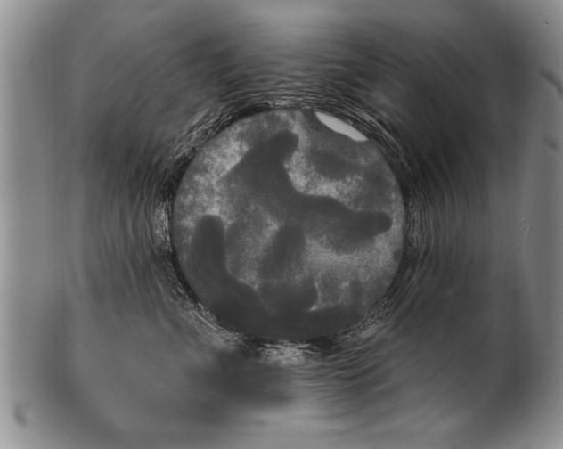 X0000100330523200806261305