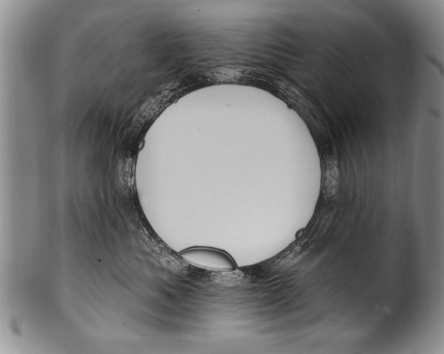 X0000100330525200806261305