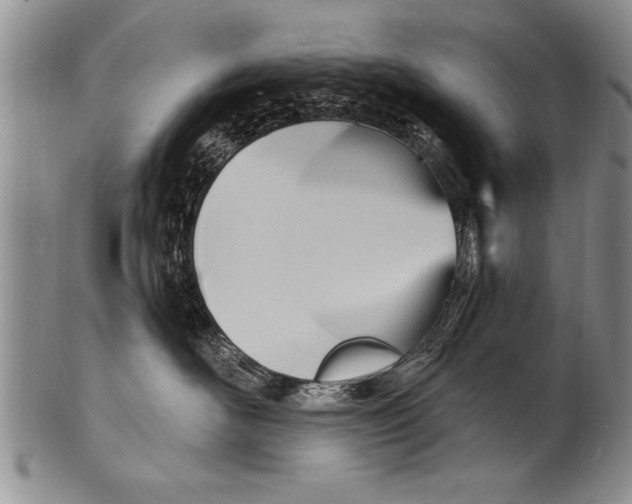 X0000100330526200806261305