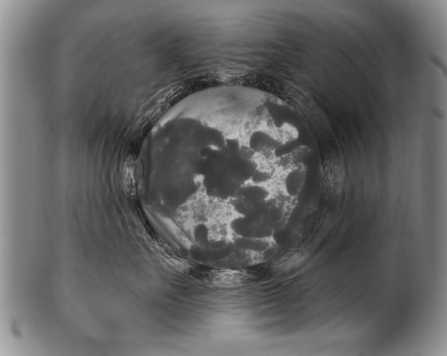 X0000100330527200806261305