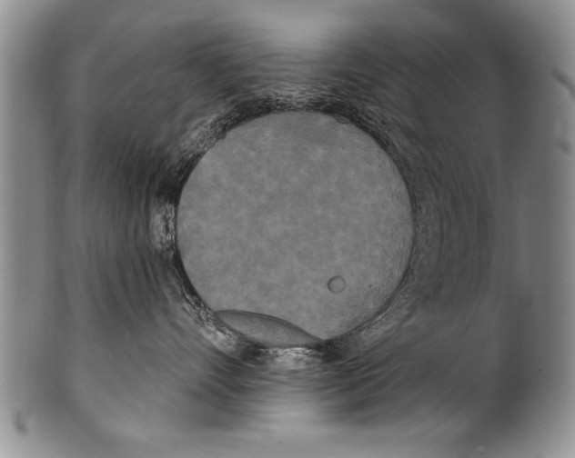 X0000100330528200806261305