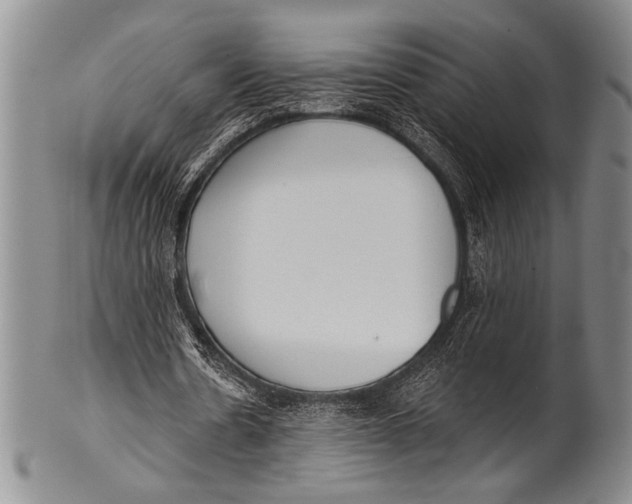 X0000100330530200806261304