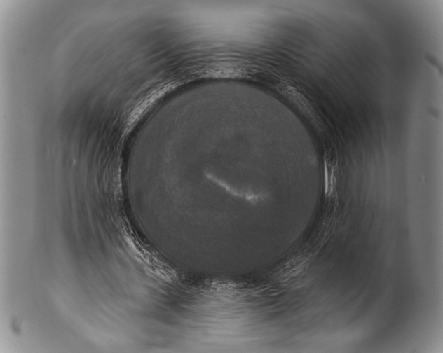 X0000100330531200806261304