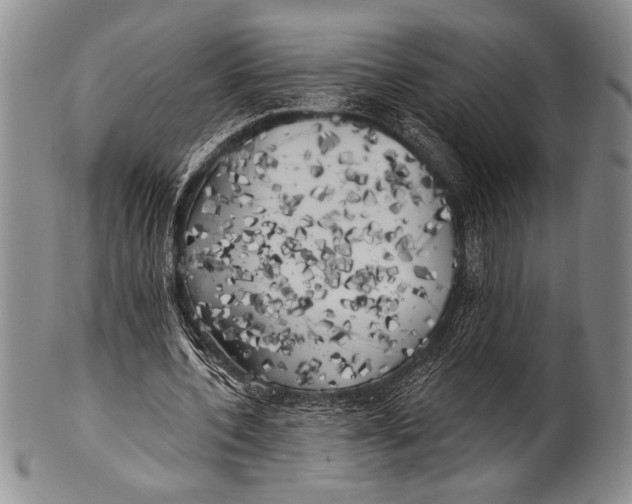 X0000100330532200806261304