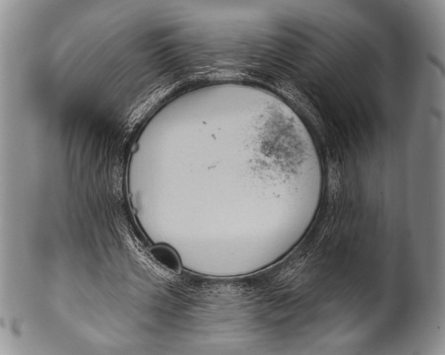 X0000100330533200806261304