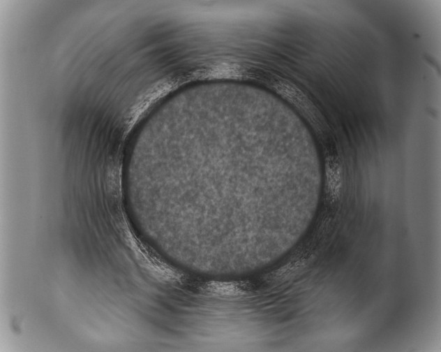 X0000100330534200806261304