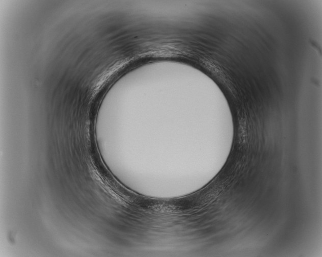 X0000100330535200806261304