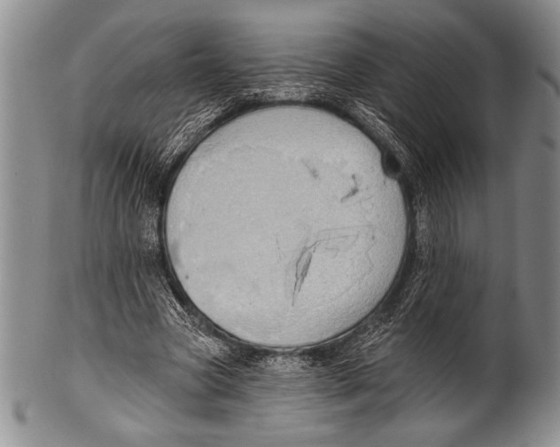 X0000100330537200806261304