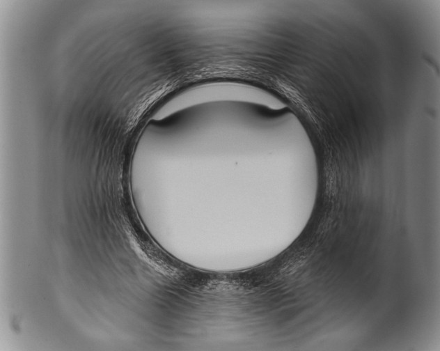 X0000100330538200806261304