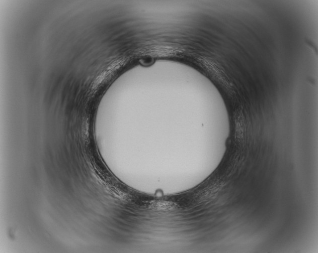 X0000100330539200806261304