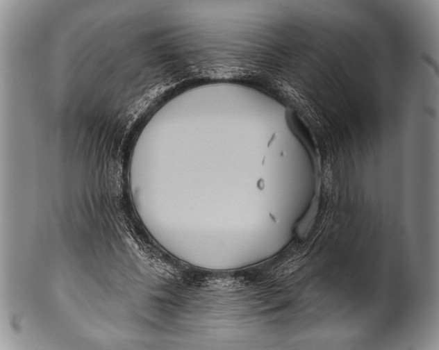 X0000100330540200806261304