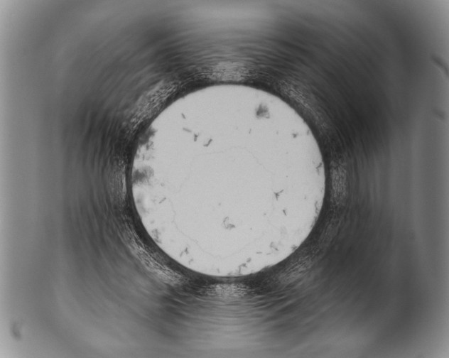 X0000100330541200806261304