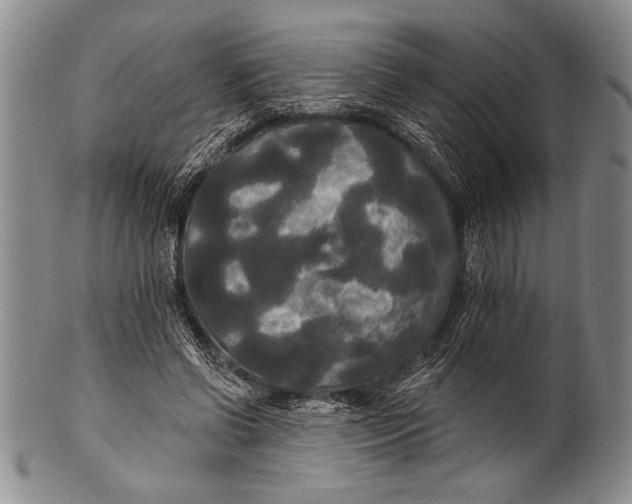 X0000100330542200806261304