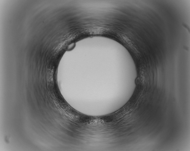 X0000100330543200806261304