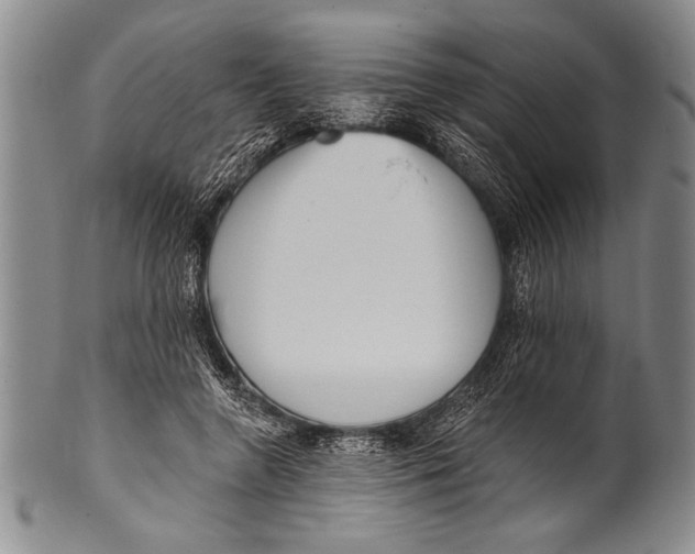 X0000100330546200806261304