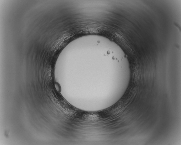 X0000100330548200806261305