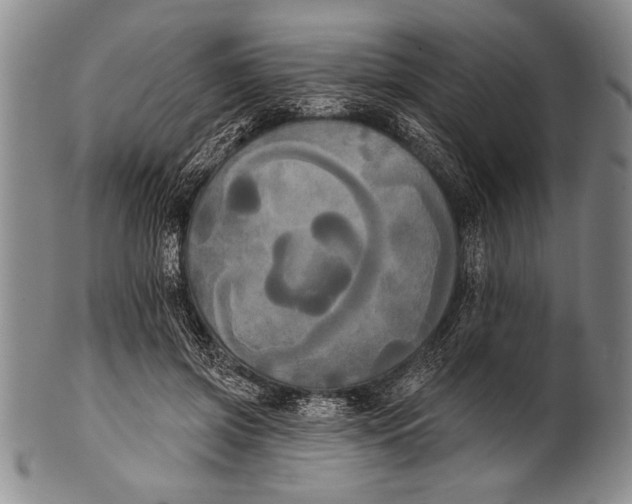 X0000100330549200806261305